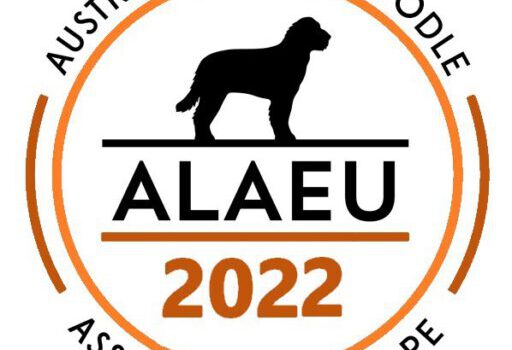 ALAEU, de meest kritische fokvereniging voor Australian Labradoodles Voor fysiek en mentaal gezonde en mooie honden! https://alaeu.com/